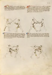 Fiore dei Liberi
